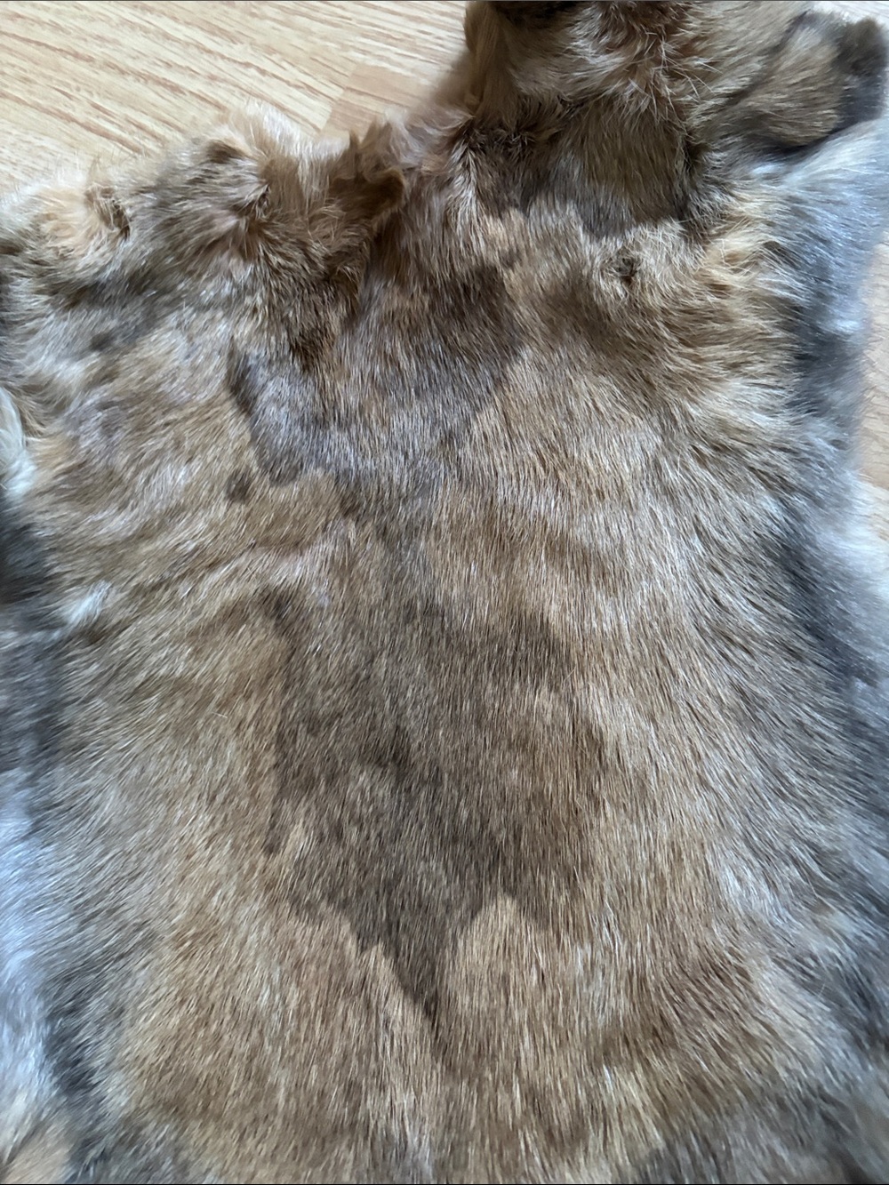 B0087 Natural Brown Rabbit Fur Hide - Picture 3 of 3